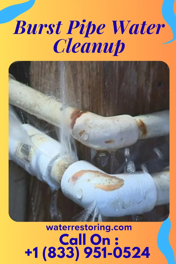 Burst Pipe Water Cleanup in Brownfields, LA