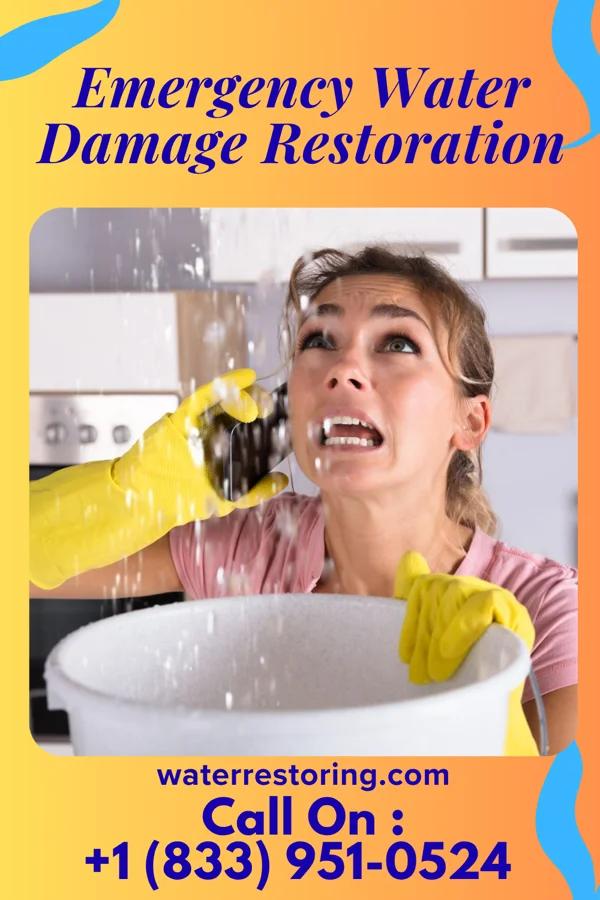 Emergency Water Damage Restoration in Brownfields, LA