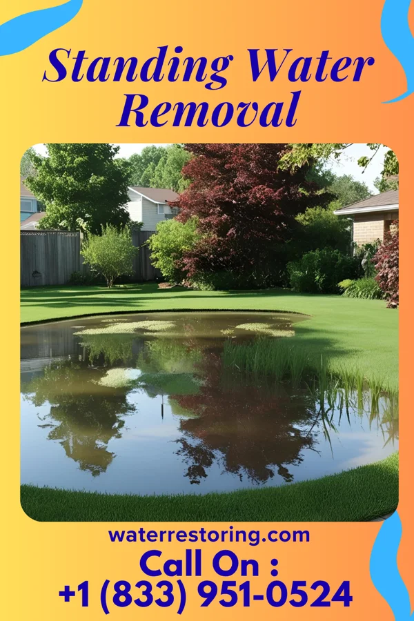 Standing Water Removal in Brownfields, LA